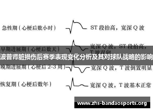 波普肾脏损伤后赛季表现变化分析及其对球队战略的影响