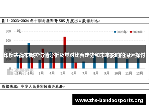 印澳决战布姆拉伤情分析及其对比赛走势和未来影响的深远探讨