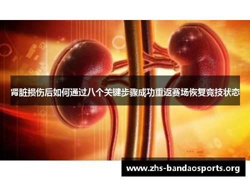 肾脏损伤后如何通过八个关键步骤成功重返赛场恢复竞技状态