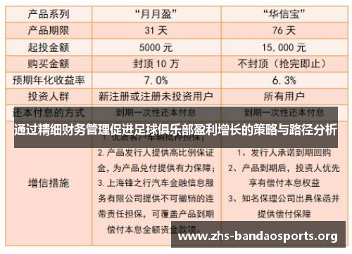 通过精细财务管理促进足球俱乐部盈利增长的策略与路径分析 通过精细财务管理促进足球俱乐部盈利增长的策略与路径分析